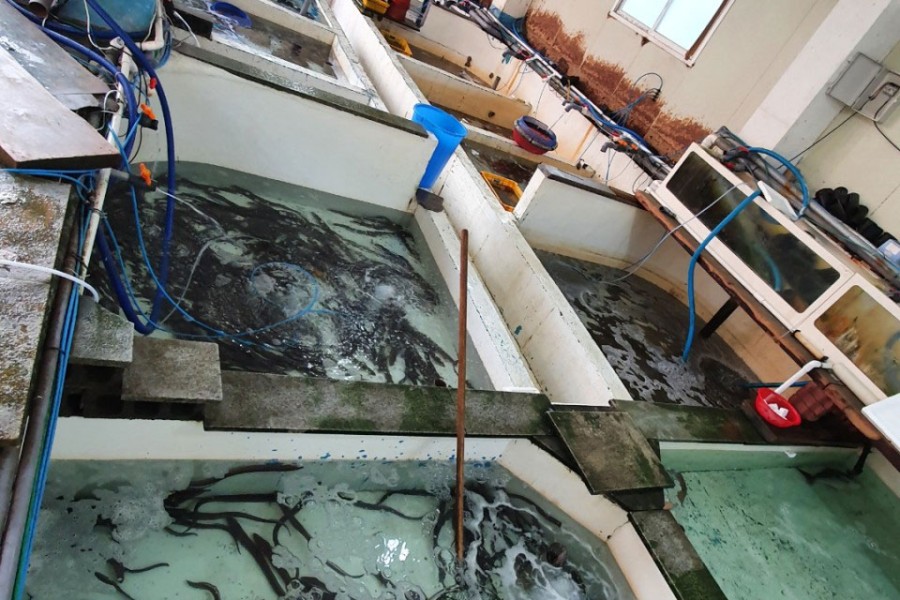 Myeongil Fisheries Co., Ltd
