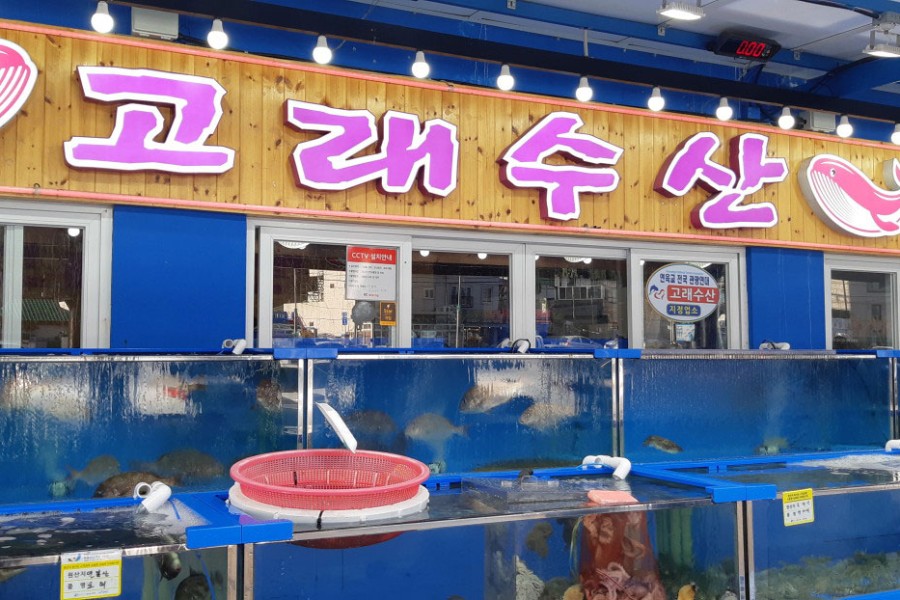 Whale Fisheries