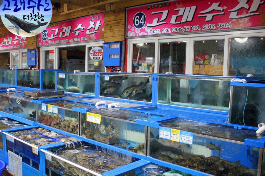 고래수산