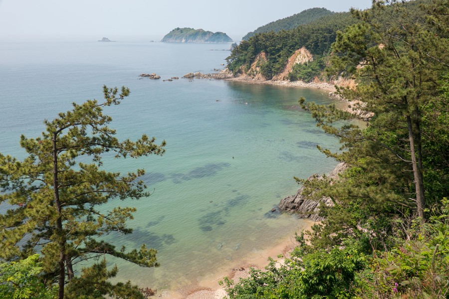 호도