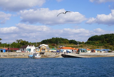 효자도