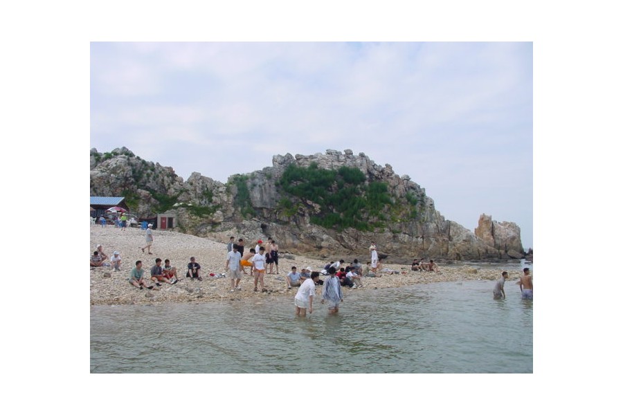 다보도