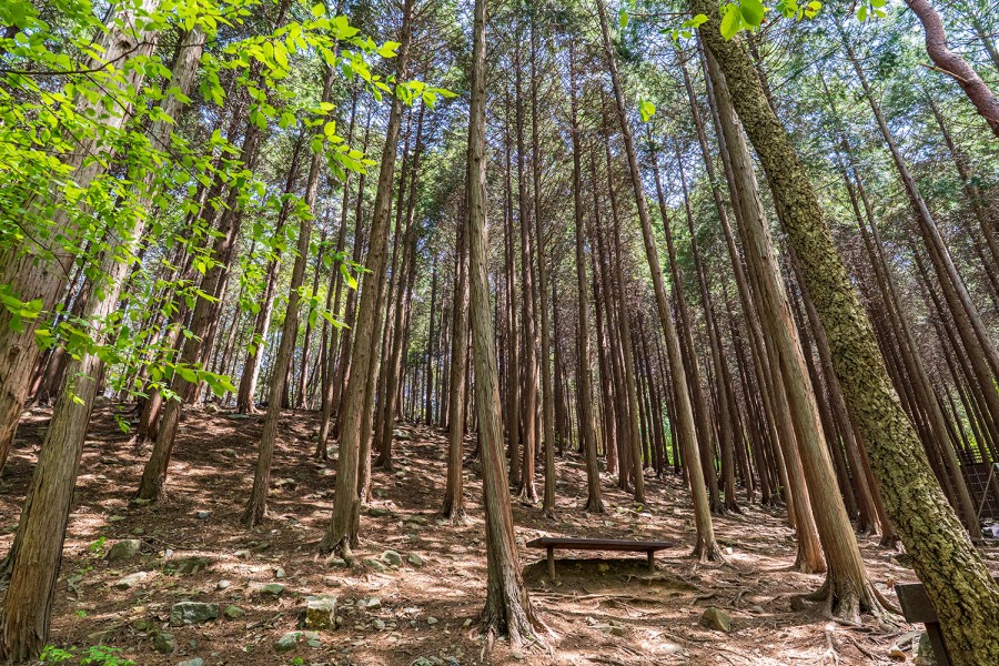 3경 성주산휴양림