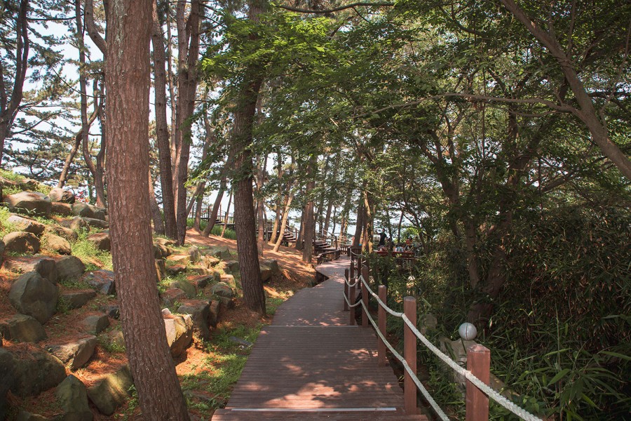 2경 죽도 상화원