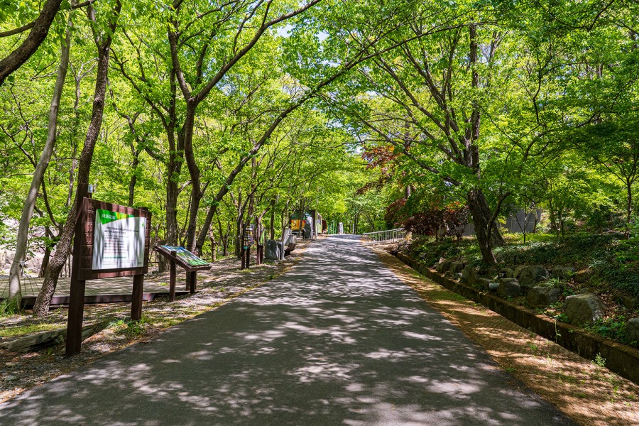 3경 성주산휴양림