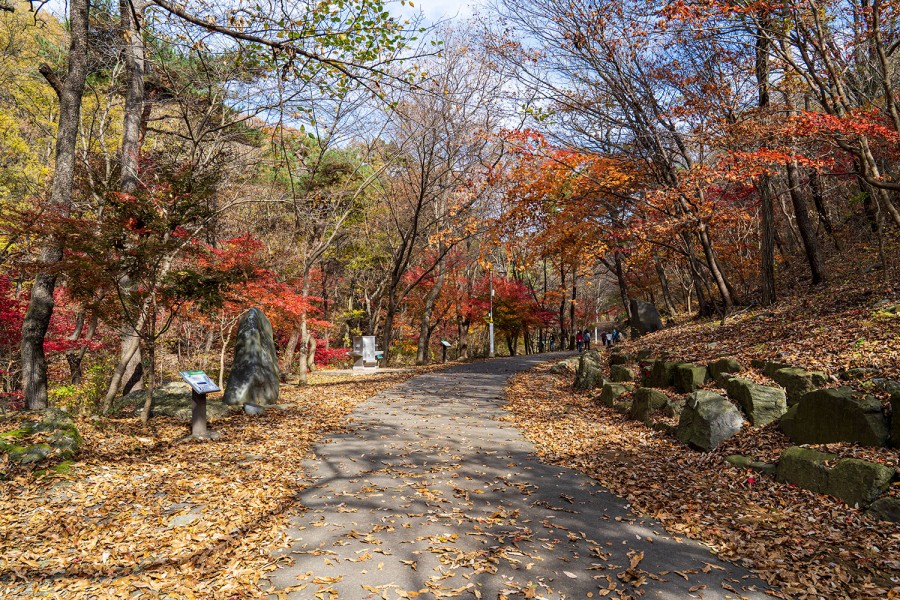 성주산휴양림